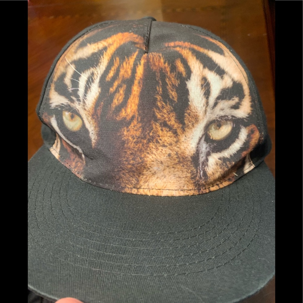 Tiger Baseball Hat